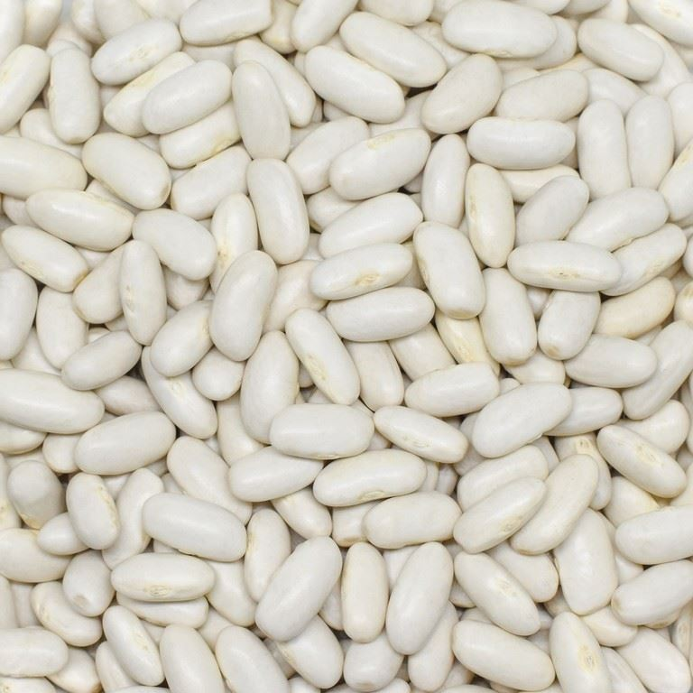 Fasulye
